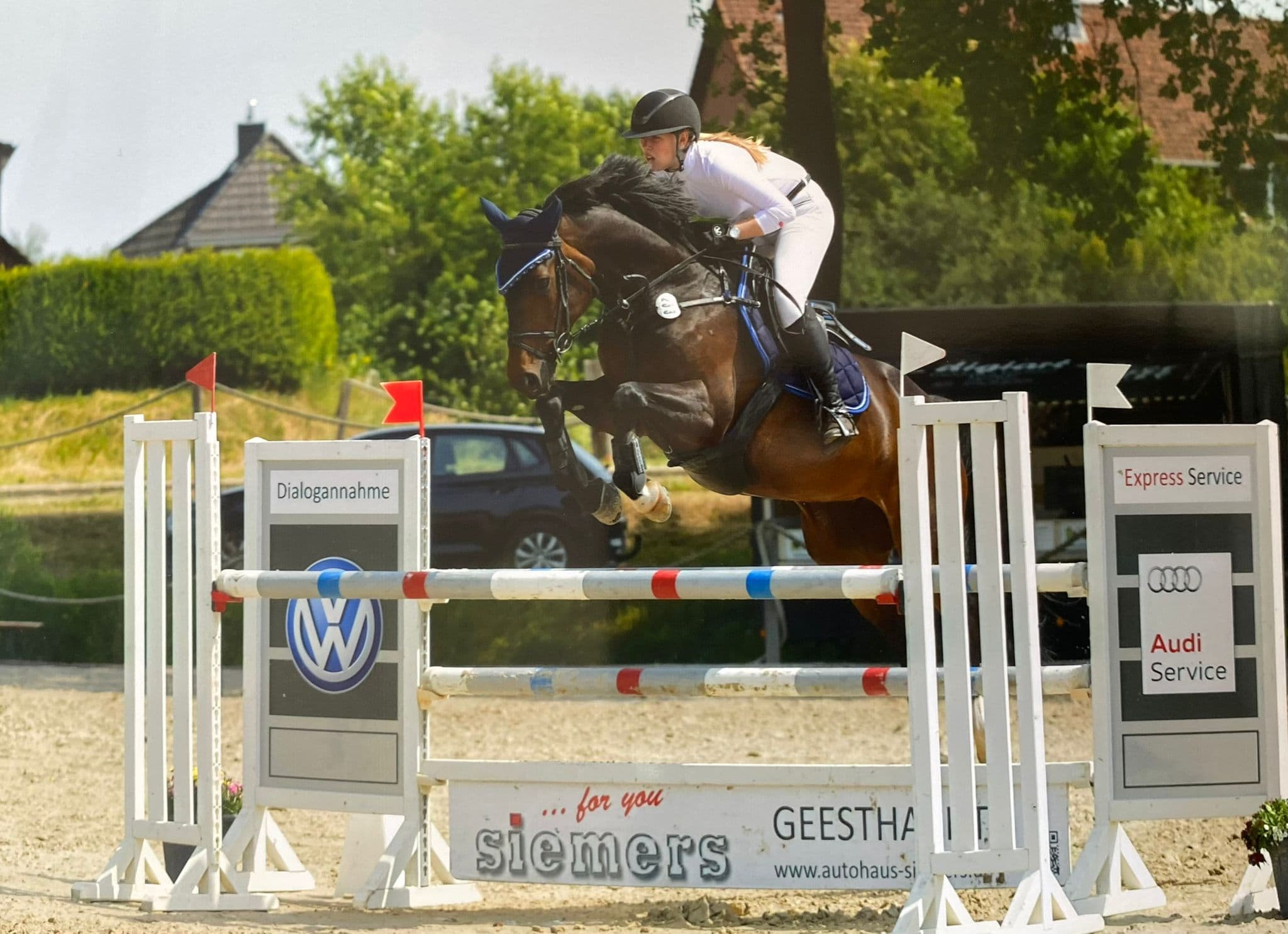 Ausbildung unter dem Sattel